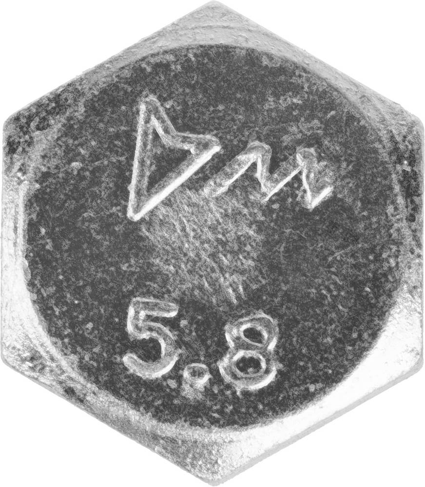 ЗУБР ГОСТ 7798-70, кл. пр. 5.8, M16 х 50 мм, цинк, 5 кг, болт (303080-16-050) — фото 2