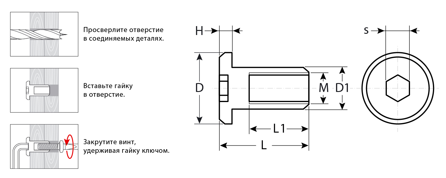 ЗУБР M6 x 12 мм, шест. 4 мм, цинк, 5 кг, гайка Эриксона с плоской головкой, Профессионал (303770-4) — фото 2