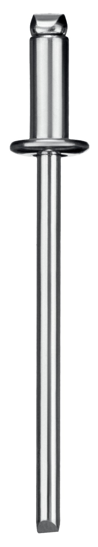 ЗУБР 3.2 x 6 мм, 50 шт, стальные заклепки, Профессионал (313126-32-06)