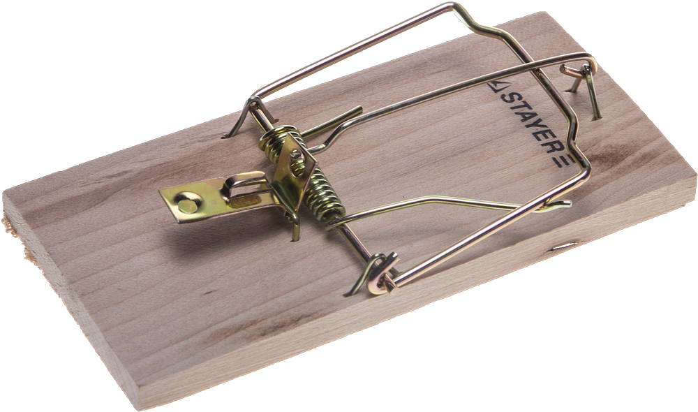 Защита от насекомых и вредителей