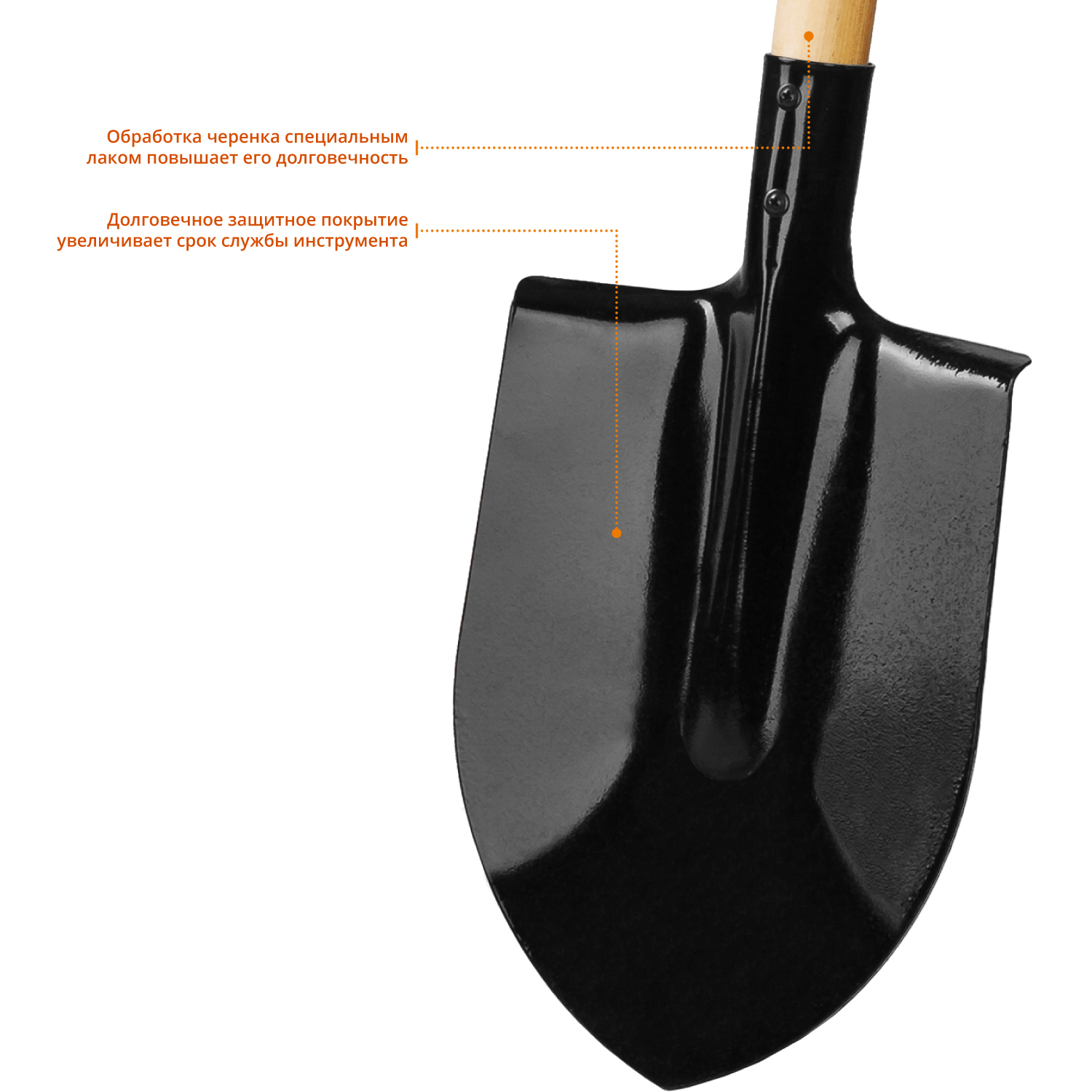 GRINDA 145 см, деревянный лакированный черенок в/с, штыковая лопата, закаленное полотно (421821) — фото 4