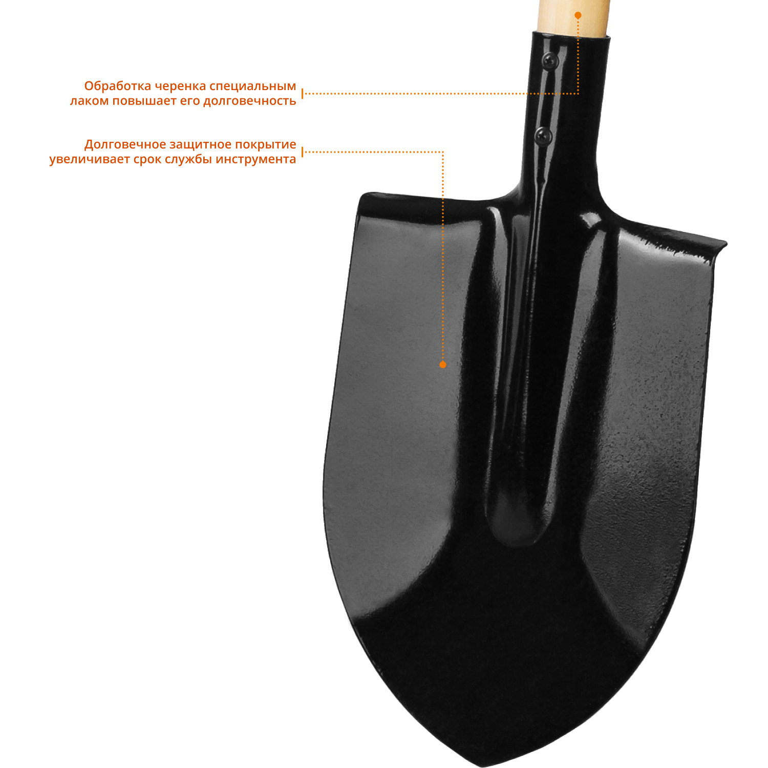 GRINDA 120 см, деревянный лакированный черенок в/с, D-рукоятка, штыковая лопата, закаленное полотно (421823) — фото 3