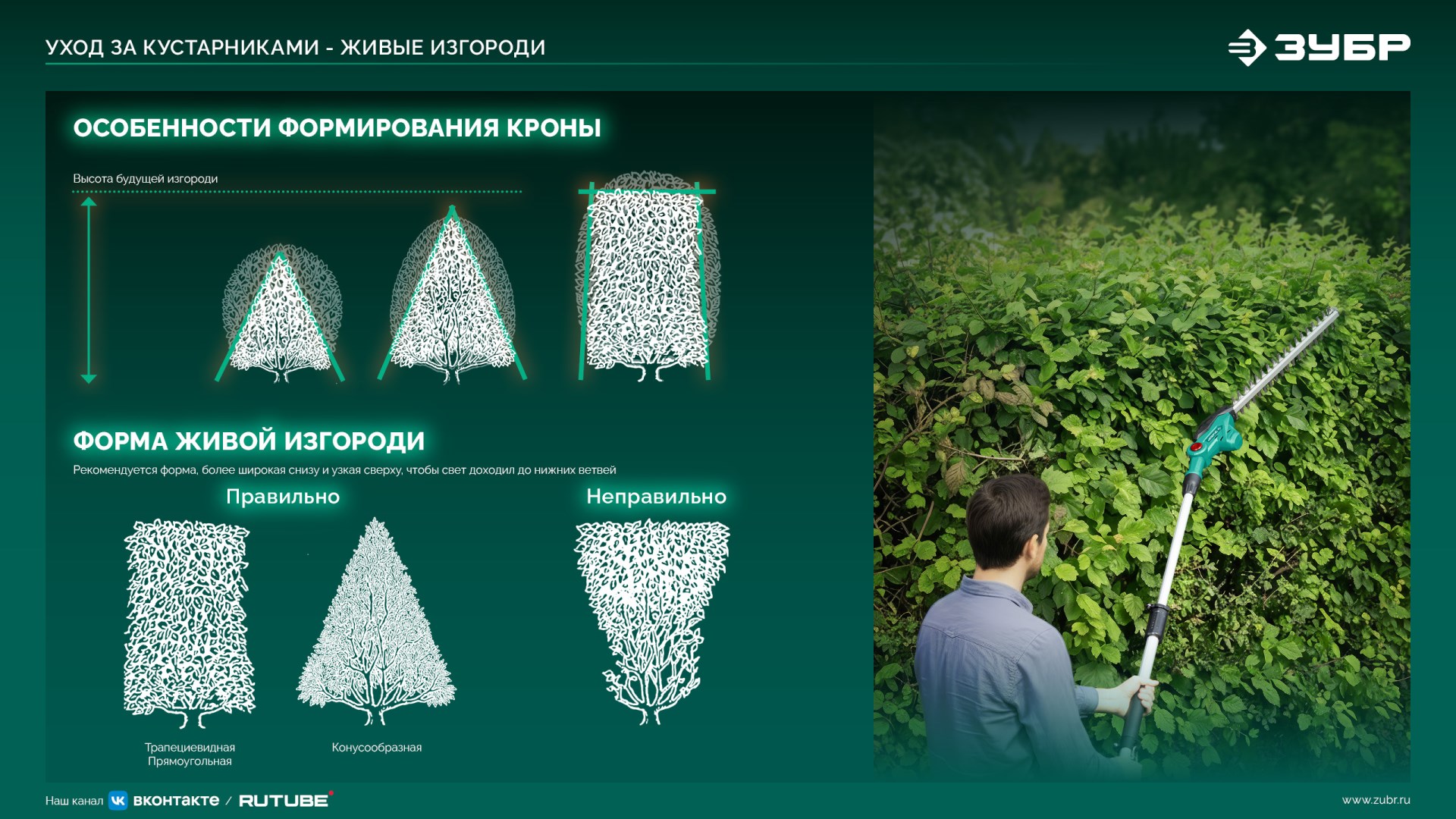 ЗУБР 40 В (2x20В), 610 мм, без АКБ (LMS), кусторез аккумуляторный бесщеточный (КРА-4061) — фото 30